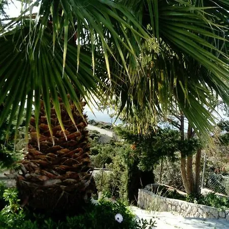 Appartement Nisia